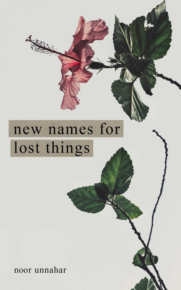 New Names for Lost Things - Books - Image - Pop Weasel