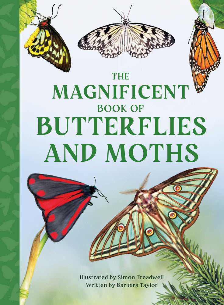 The Magnificent Book of Butterflies & Moths image - Childrens Books - Image - Pop Weasel