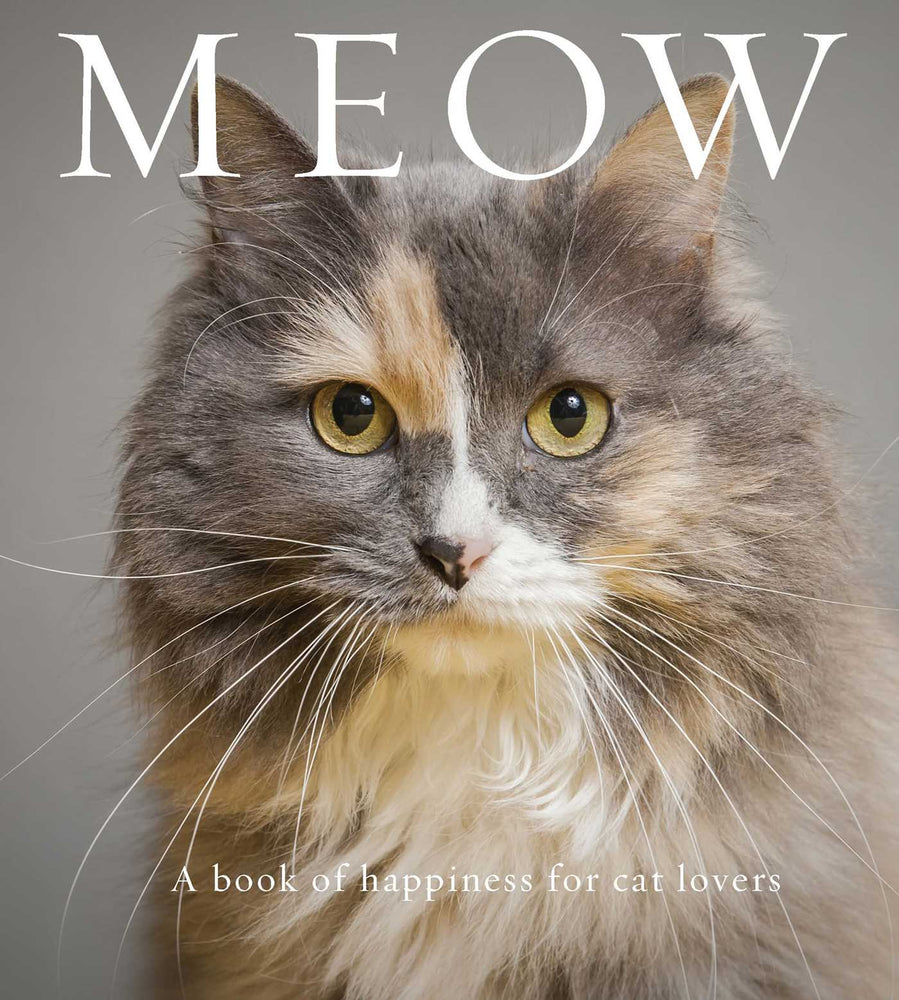Meow: A Book Of Happiness For Cat Lovers - Books - Image - Pop Weasel