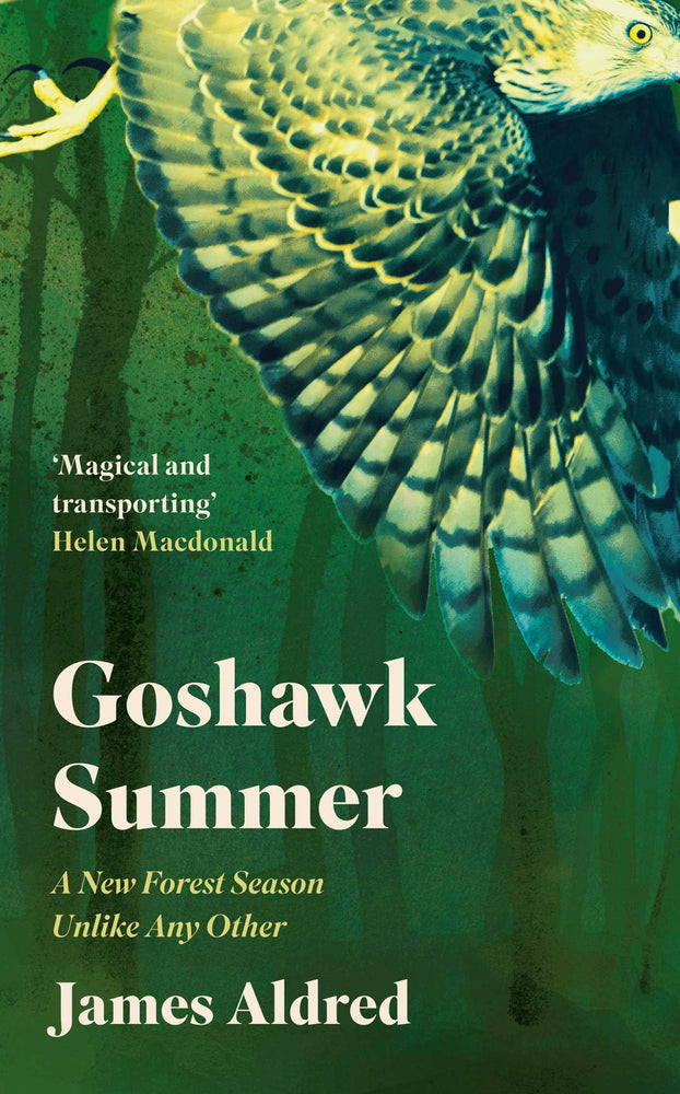 Goshawk Summer: A New Forest Season Unlike Any Other - Books - Image - Pop Weasel