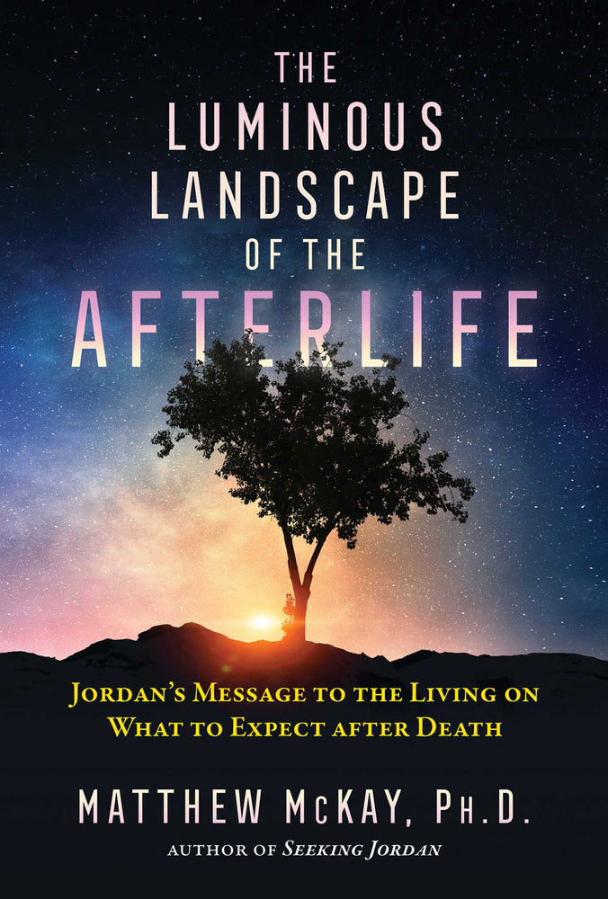 The Luminous Landscape of the Afterlife: Jordan's Message to the Living on What to Expect after Death - Books - Image - Pop Weasel