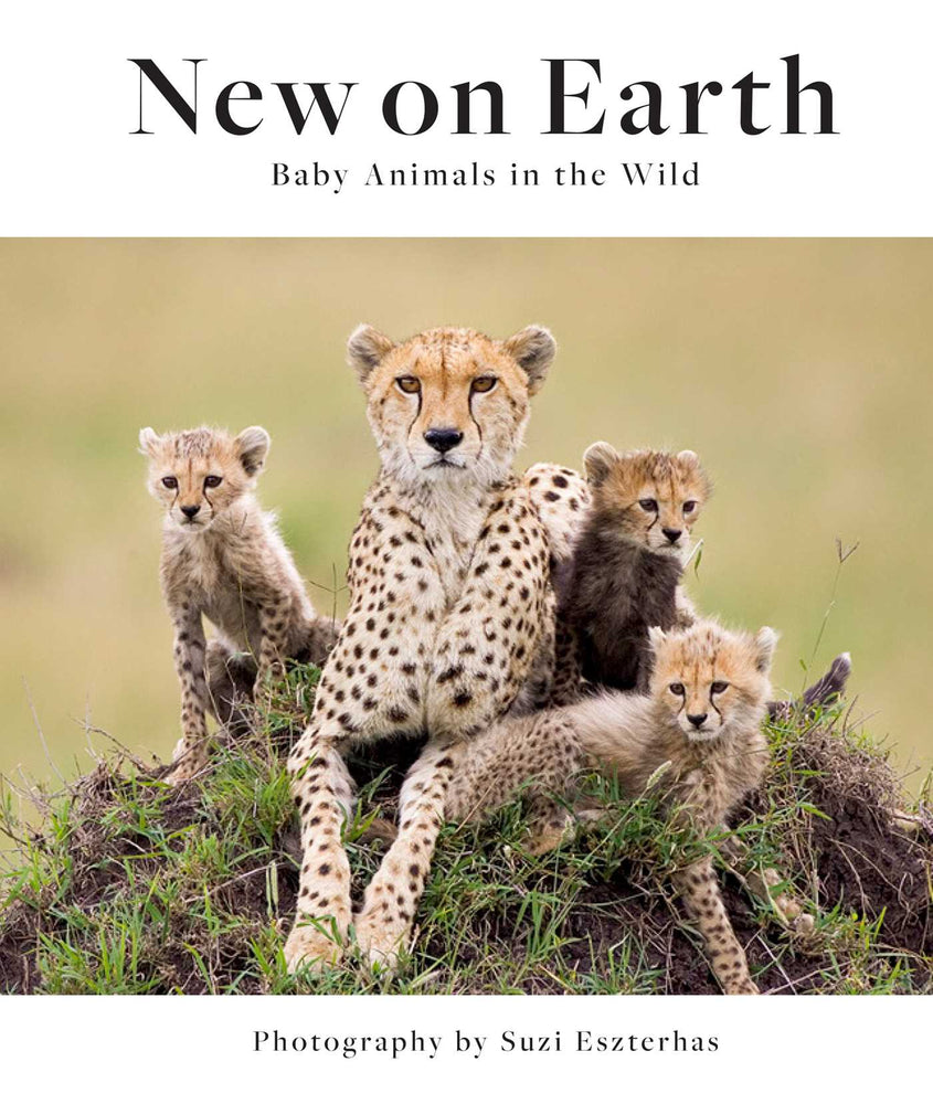 New on Earth: Baby Animals in the Wild - Books - Image - Pop Weasel
