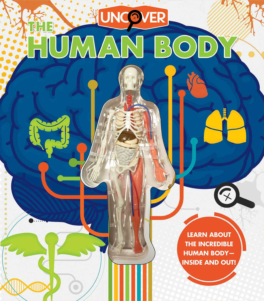 Uncover the Human Body - Childrens Books - Image - Pop Weasel