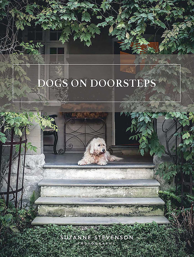 Dogs on Doorsteps - Books - Image - Pop Weasel