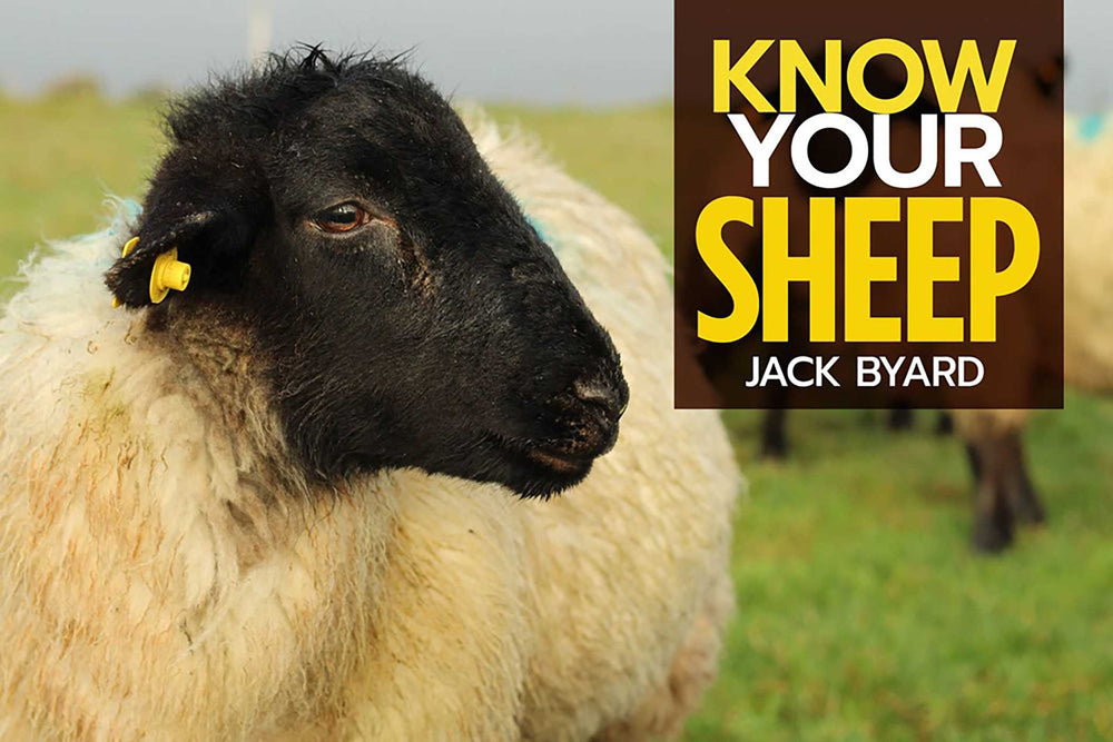Know Your Sheep - Books - Image - Pop Weasel