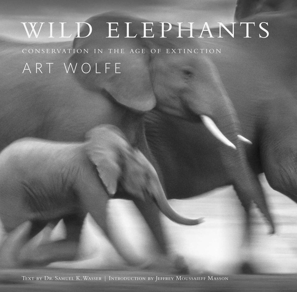 Wild Elephants: Conservation in the Age of Extinction - Books - Image - Pop Weasel