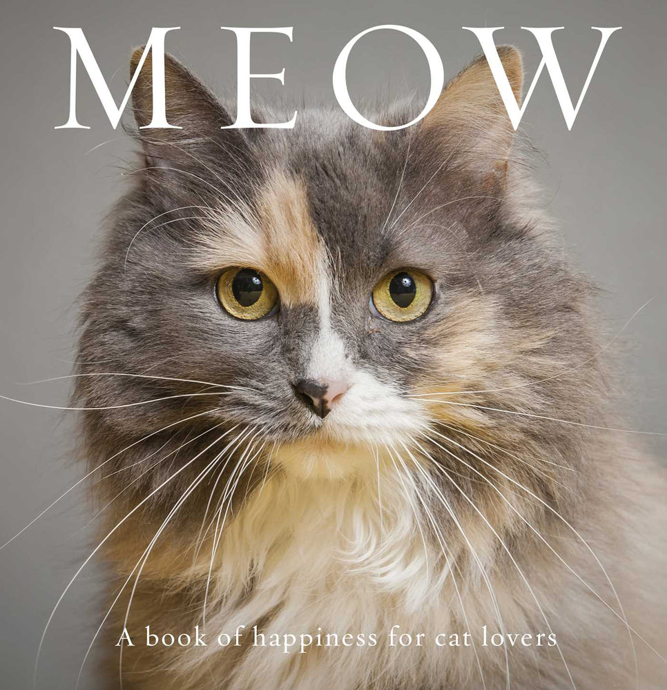 Meow: A Book of Happiness for Cat Lovers - Books - Image - Pop Weasel