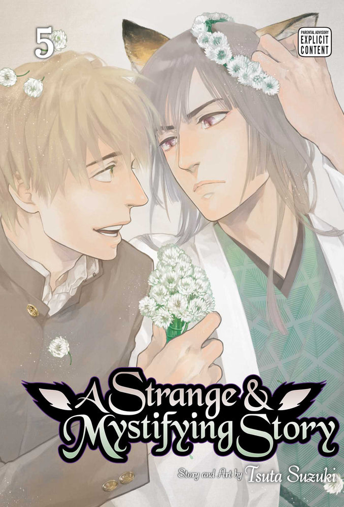Strange & Mystifying Story, Vol. 5 - Manga - Image - Pop Weasel