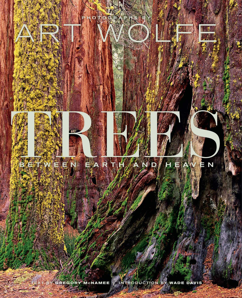 Trees: Between Earth and Heaven - Books - Image - Pop Weasel