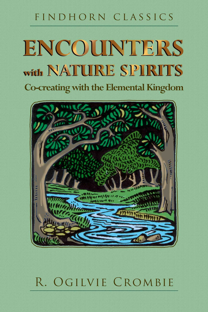 Encounters with Nature Spirits: Co-creating with the Elemental Kingdom - Books - Image - Pop Weasel
