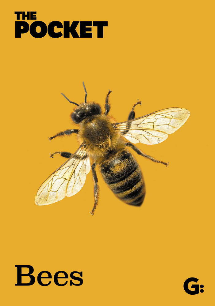 Pocket Bees - Books - Image - Pop Weasel
