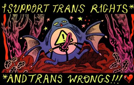 Boy Island I Support Trans Rights And Trans Wrongs Sticker - Image - Collectibles - Image - Pop Weasel