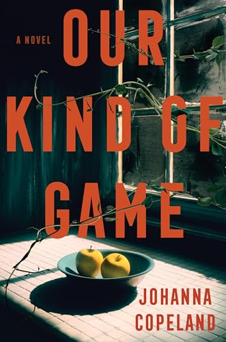 Our Kind of Game A Novel - Hard Cover - Books - Image - Pop Weasel