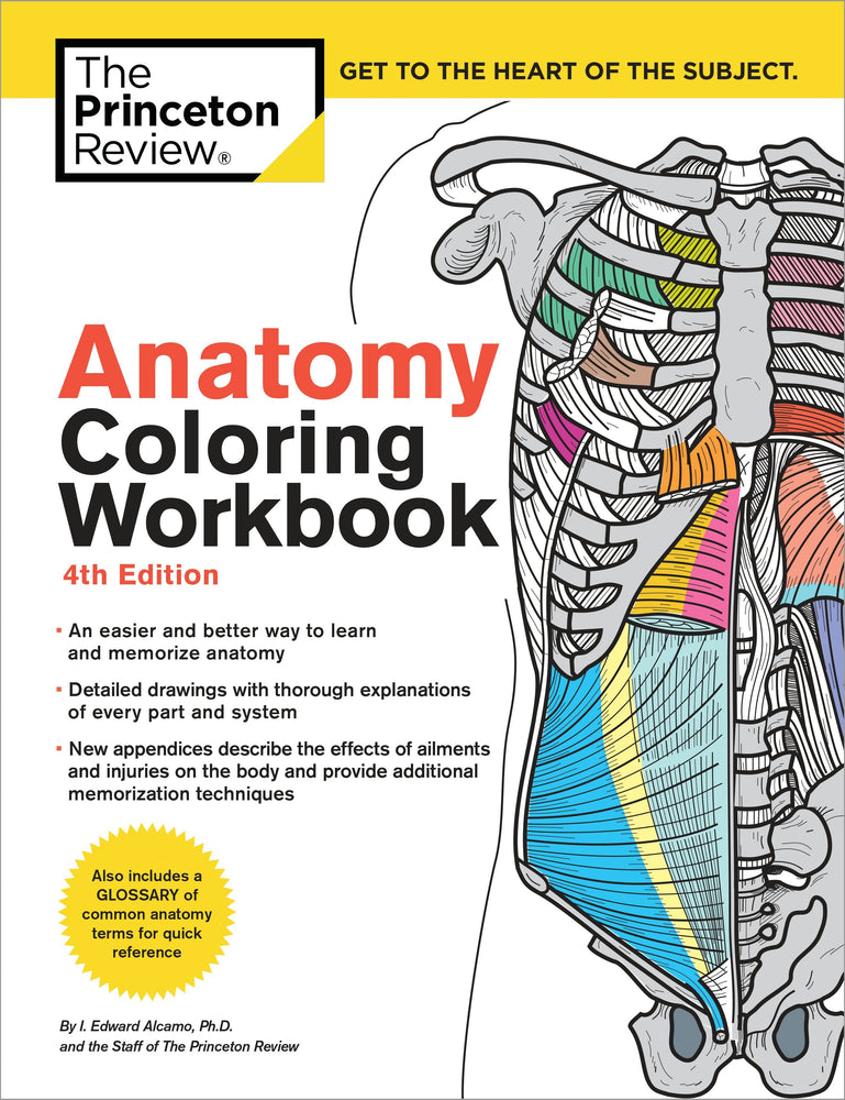 Anatomy Coloring Workbook, 4th Edition - Graphic Novels - Image - Pop Weasel