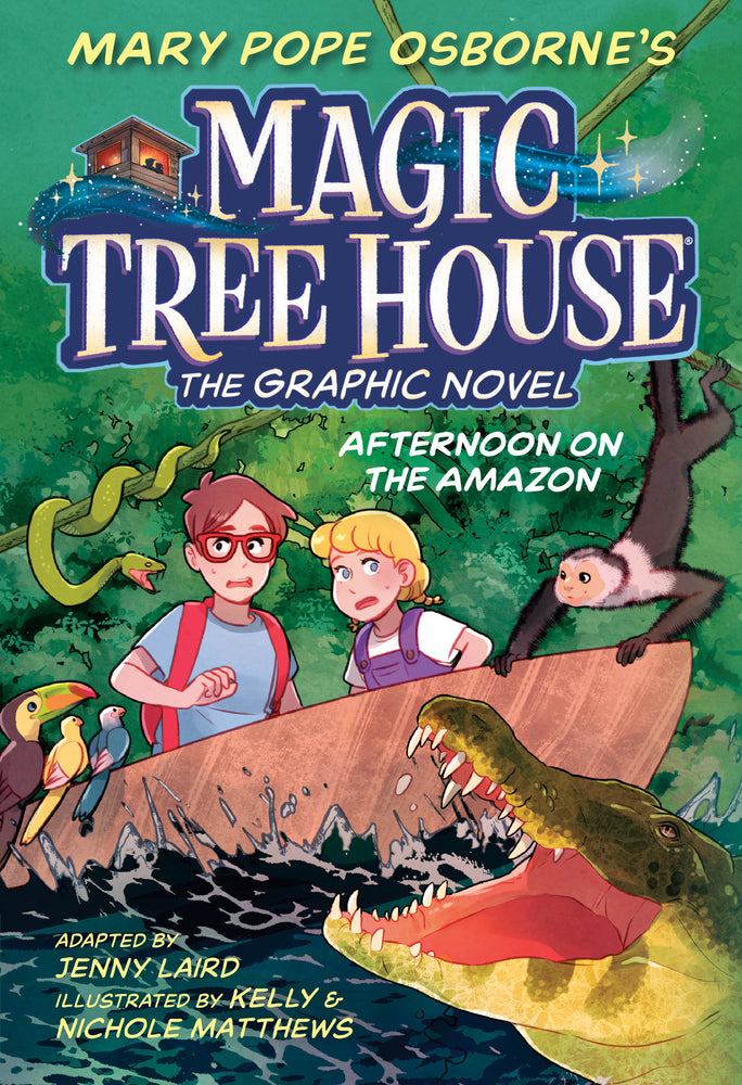 Afternoon on the Amazon Graphic Novel - Graphic Novels - Image - Pop Weasel