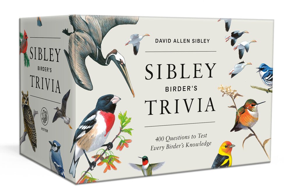 Sibley Birder's Trivia: A Card Game - Merchandise - Image - Pop Weasel