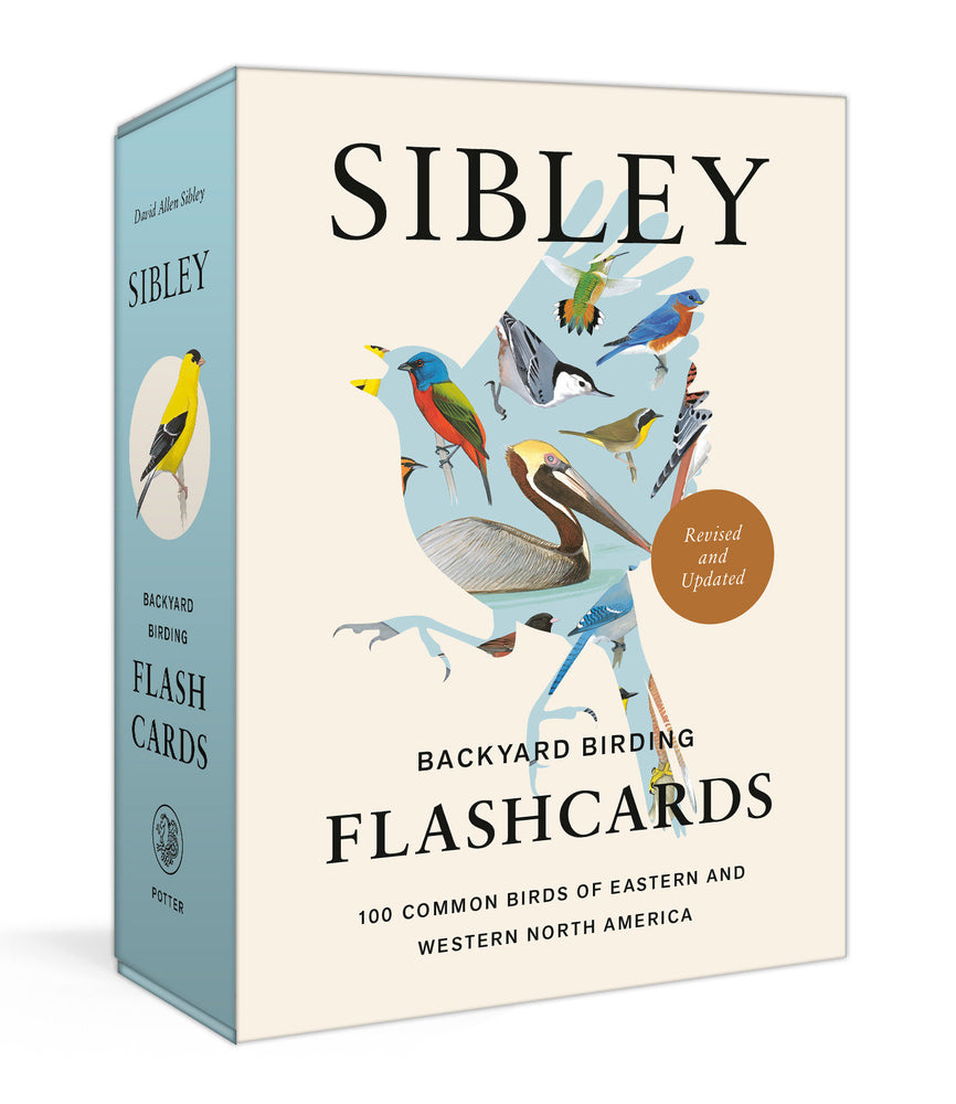 Sibley Backyard Birding Flashcards, Revised and Updated - Merchandise - Image - Pop Weasel