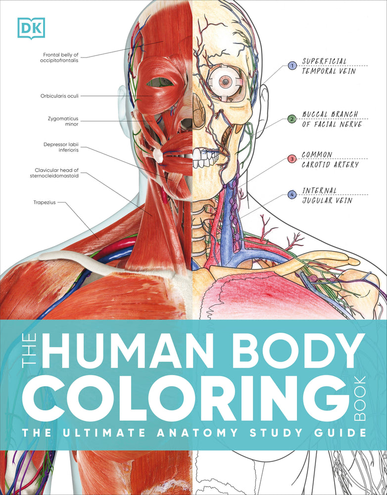 The Human Body Coloring Book - Graphic Novels - Image - Pop Weasel