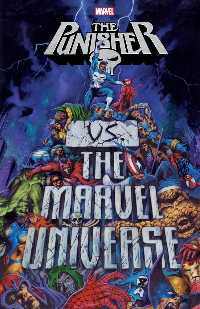 PUNISHER VS. THE MARVEL UNIVERSE - Graphic Novels - Image - Pop Weasel