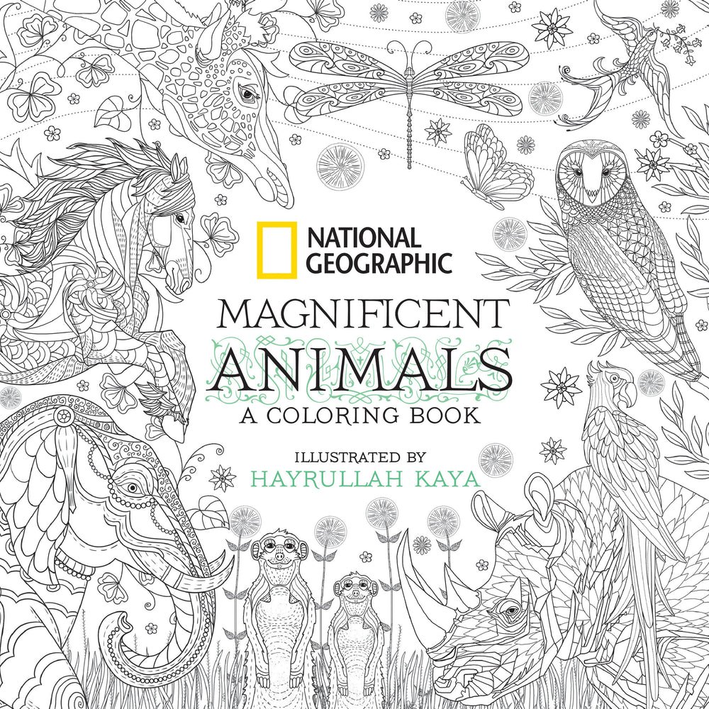 National Geographic Magnificent Animals - Graphic Novels - Image - Pop Weasel