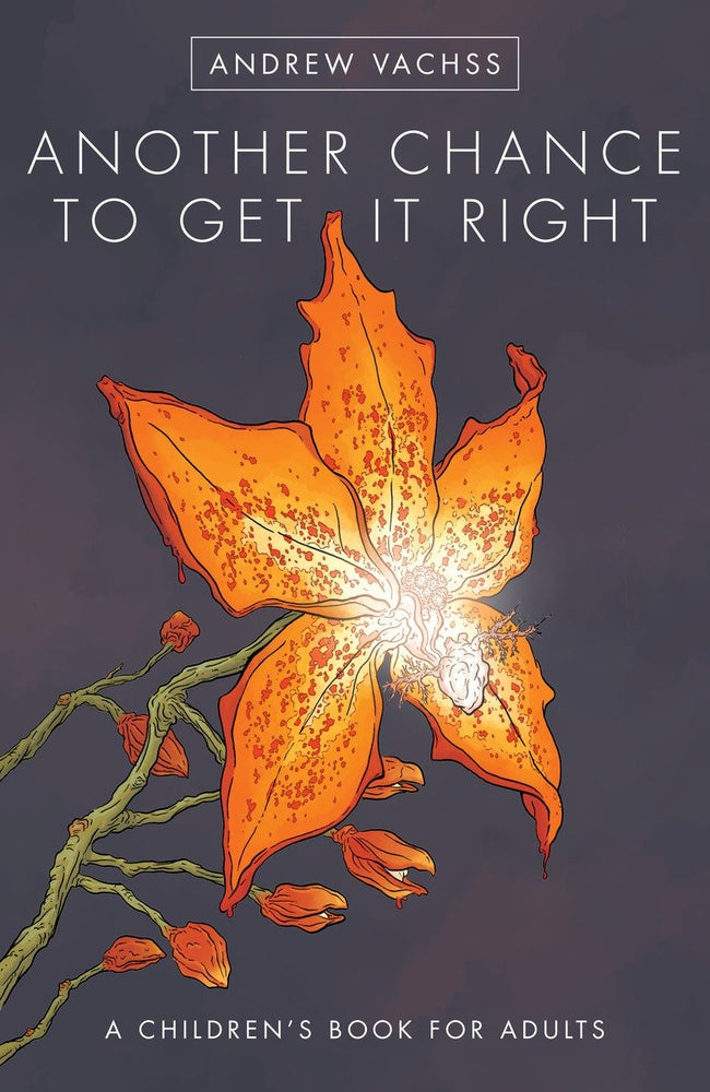 Another Chance to Get It Right Fourth Edition | Hardcover - Graphic Novels - Image - Pop Weasel