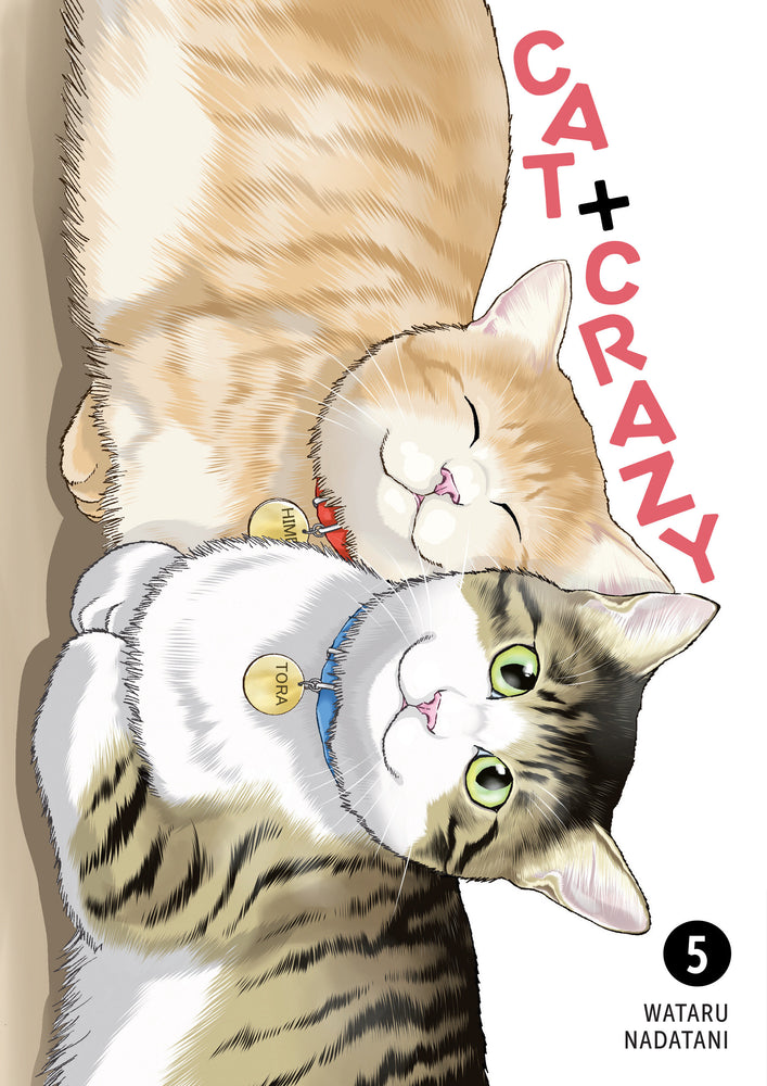 Cat + Crazy Volume 5 - Graphic Novels - Image - Pop Weasel