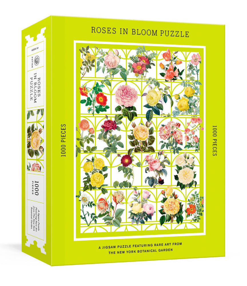 Roses in Bloom Puzzle - Merchandise - Image - Pop Weasel