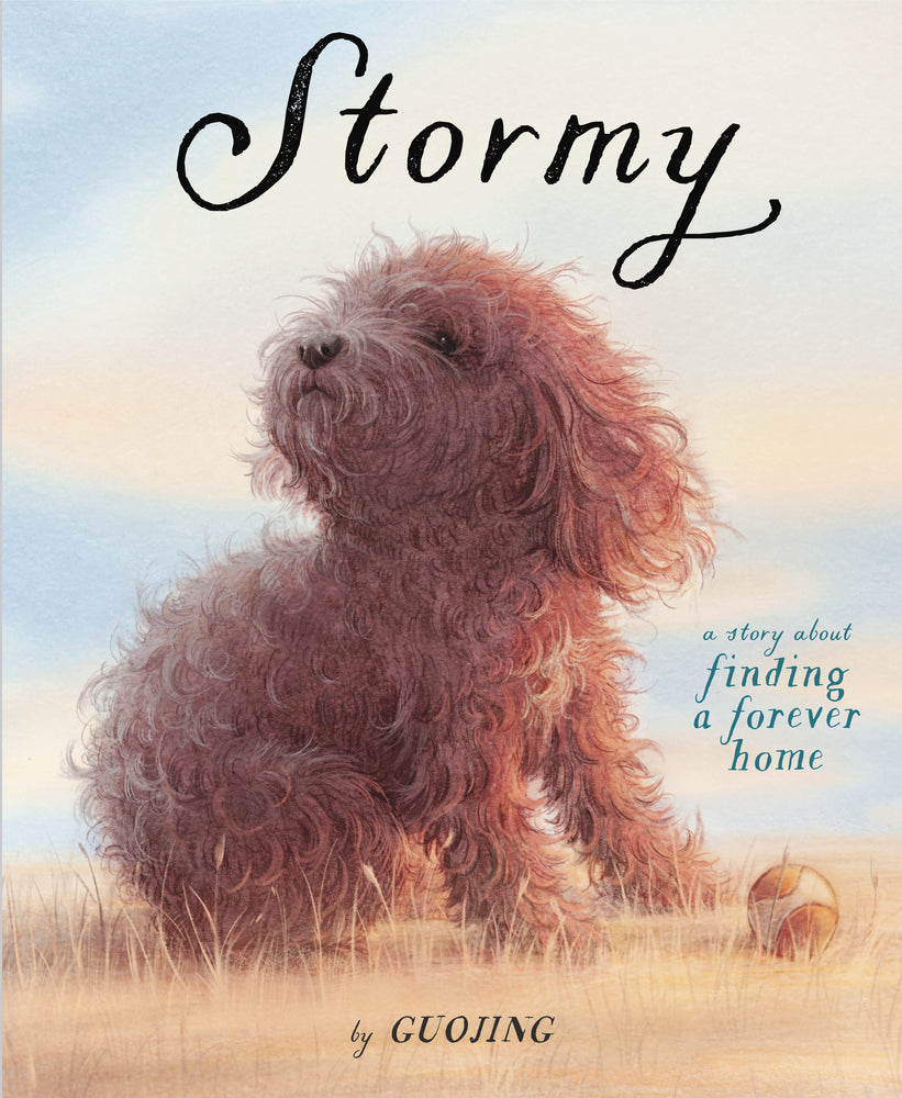 Stormy | Hardcover - Graphic Novels - Image - Pop Weasel