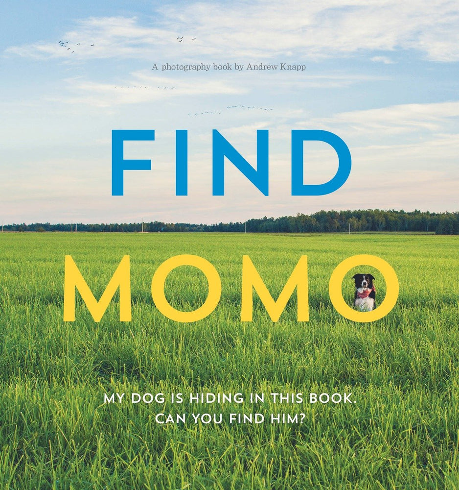 Find Momo - Books - Image - Pop Weasel