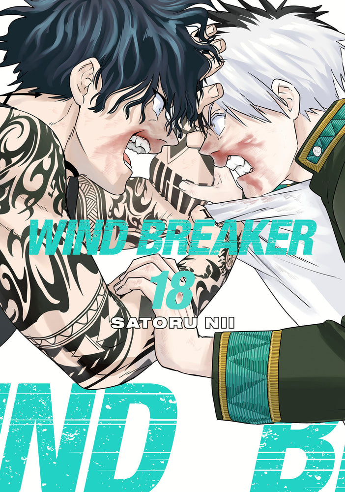 WIND BREAKER 18 - Manga - Image - Pop Weasel