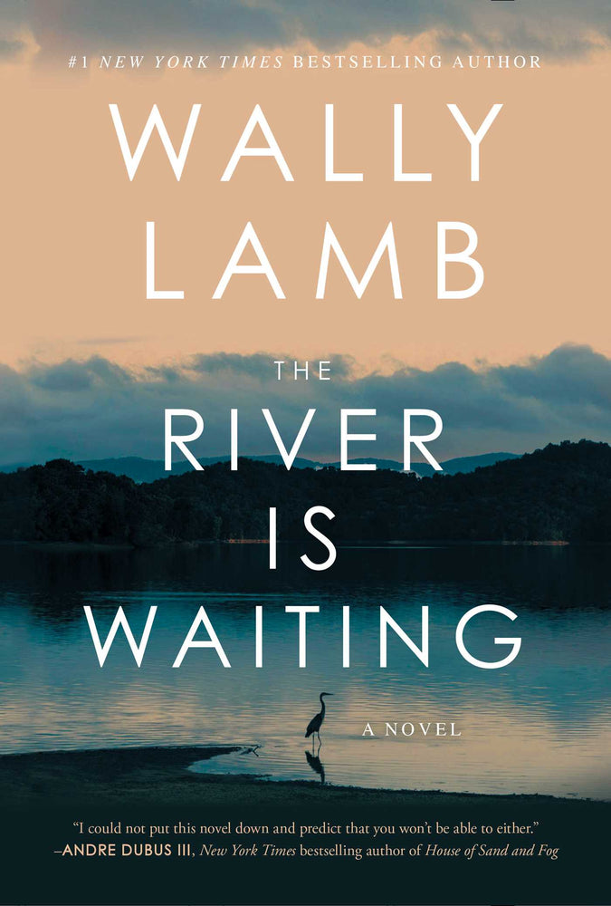 The River Is Waiting A Novel image - Books - Image - Pop Weasel
