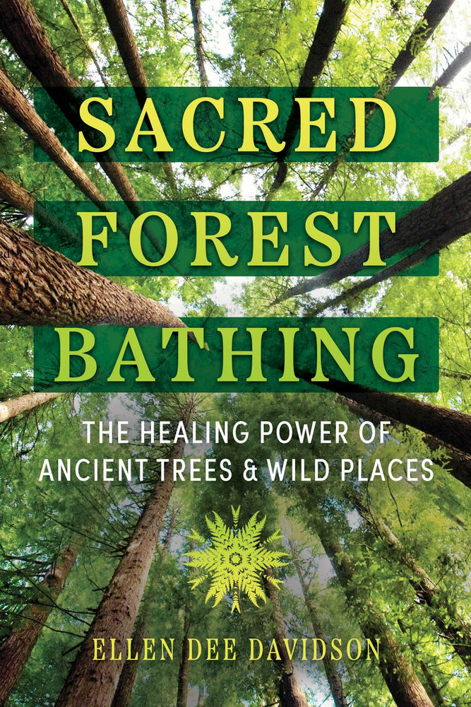 Sacred Forest Bathing The Healing Power of Ancient Trees and Wild Places image - Books - Image - Pop Weasel