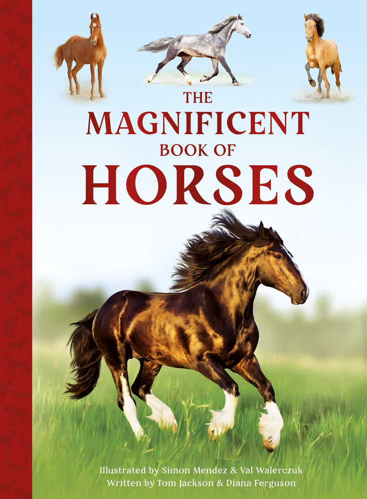 The Magnificent Book of Horses image - Childrens Books - Image - Pop Weasel