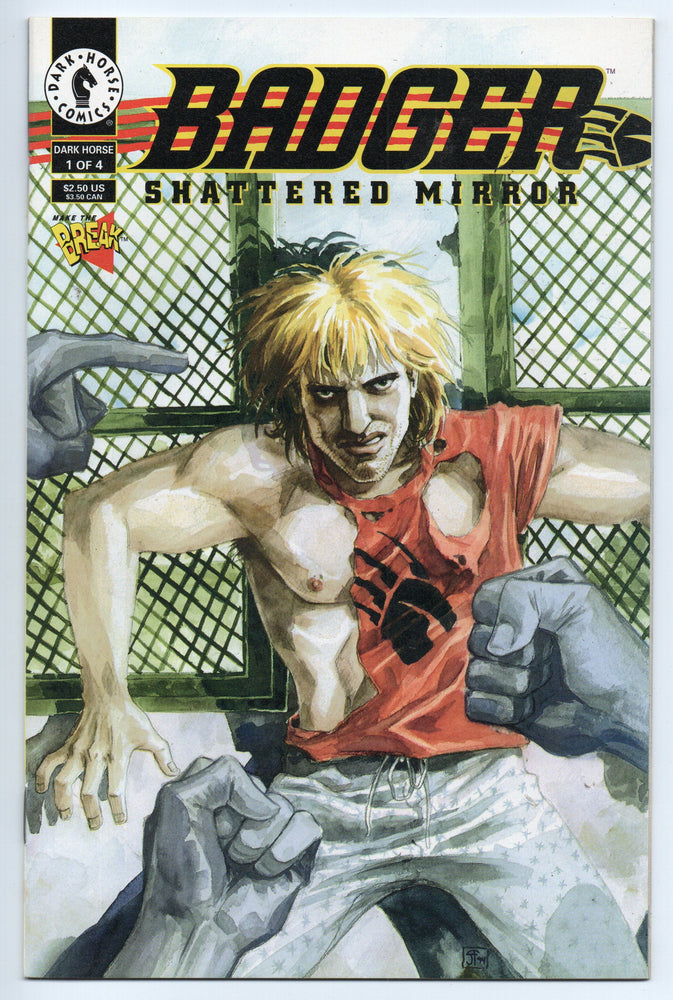 Pre-Owned - Badger: Shattered Mirror - Pre-Owned Comics - Image - Pop Weasel