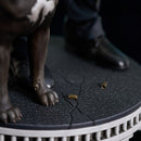 Image Pop Weasel - Image 9 of John Wick 3 - John Wick with Dog Milestones Statue - Diamond Select Toys