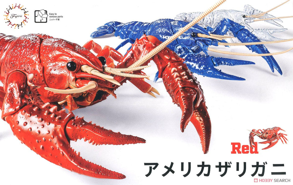Biology: Crayfish Red(re170831 - Model - Image - Pop Weasel