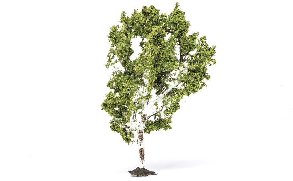 xxBirch Tree - Model - Image - Pop Weasel