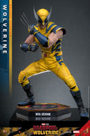 Image Pop Weasel - Image 9 of Deadpool & Wolverine - Wolverine Deluxe 1:6 Figure - Hot Toys