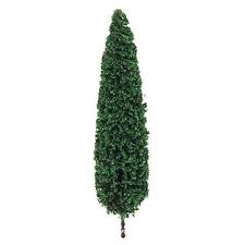 75-100mm Poplar Trees (2) - Model - Image - Pop Weasel