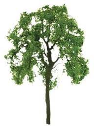 75mm Basswood Ash Tree (2) - Model - Image - Pop Weasel