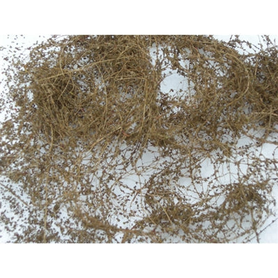 Dry Vine Dead Foliage - Model - Image - Pop Weasel
