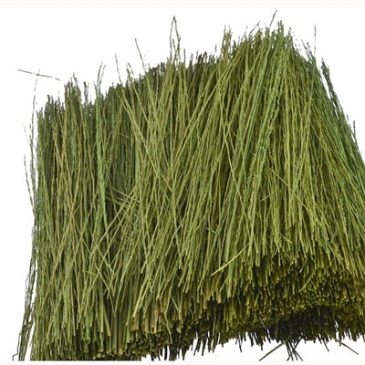 Field Grass Light Green 15g - Model - Image - Pop Weasel