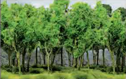 HO: Wood Edge Trees Gren (9) - Model - Image - Pop Weasel