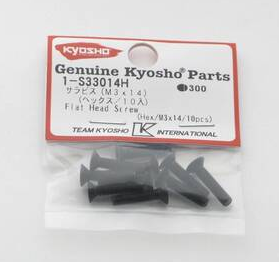 Hex FH Screw (M3x14)(10) - Model - Image - Pop Weasel