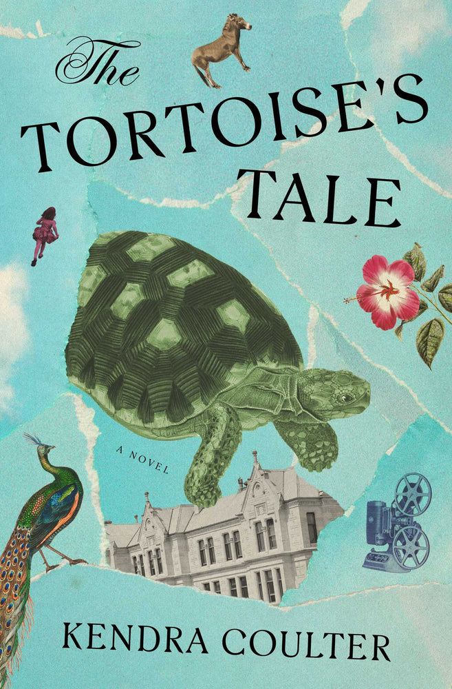 The Tortoise's Tale A Novel image - Books - Image - Pop Weasel