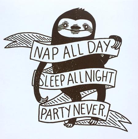 Nap All Day Sleep All Night Party Never Sloth Sticker - Image - Collectibles - Image - Pop Weasel