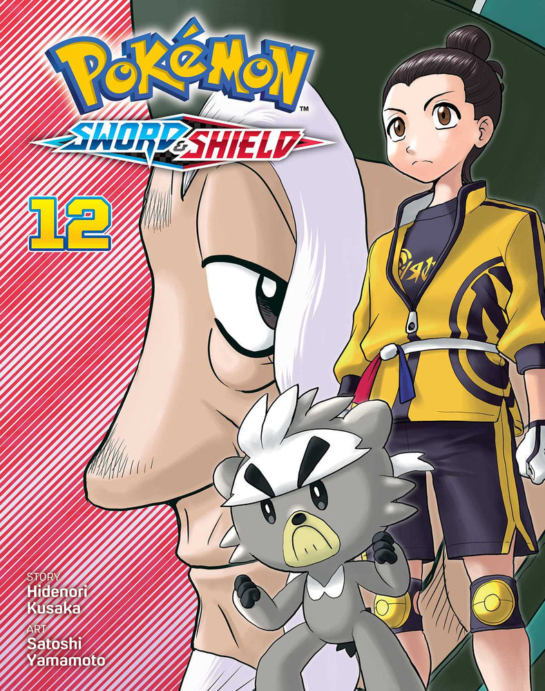 Pokémon: Sword & Shield, Vol. 12 image - Manga - Image - Pop Weasel