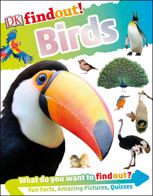 DKfindout! Birds image