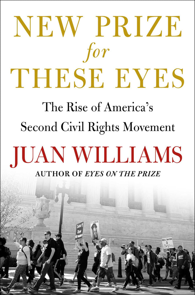 New Prize for These Eyes The Rise of America's Second Civil Rights Movement image - Books - Image - Pop Weasel