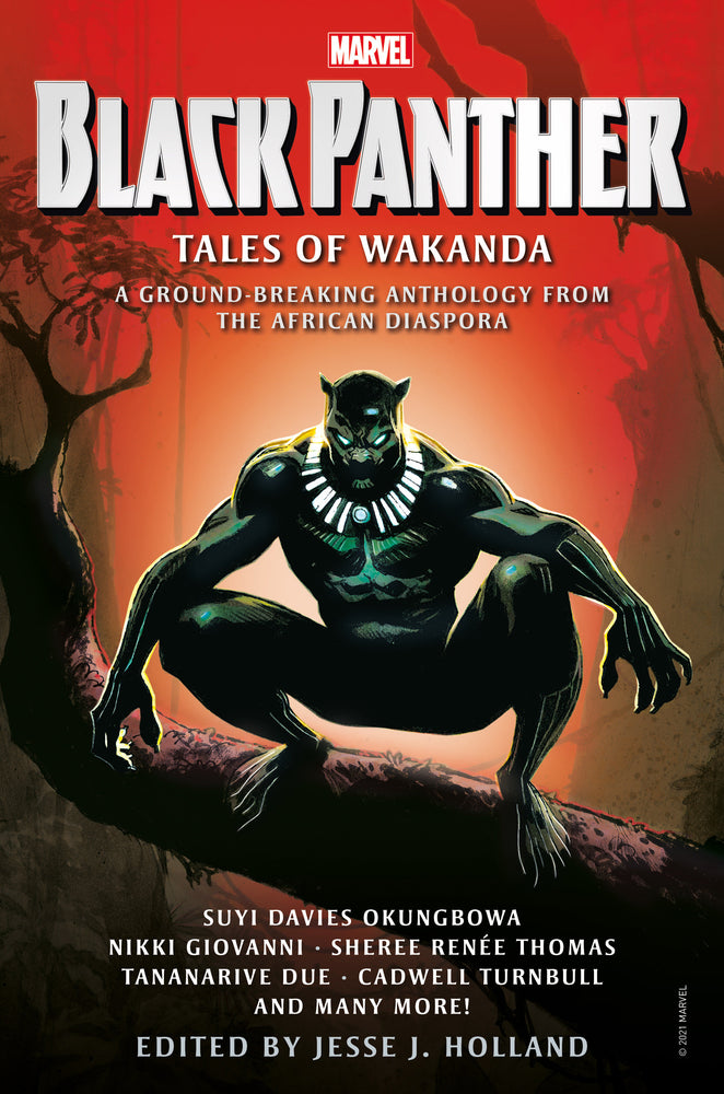 Black Panther: Tales of Wakanda image - Books - Image - Pop Weasel